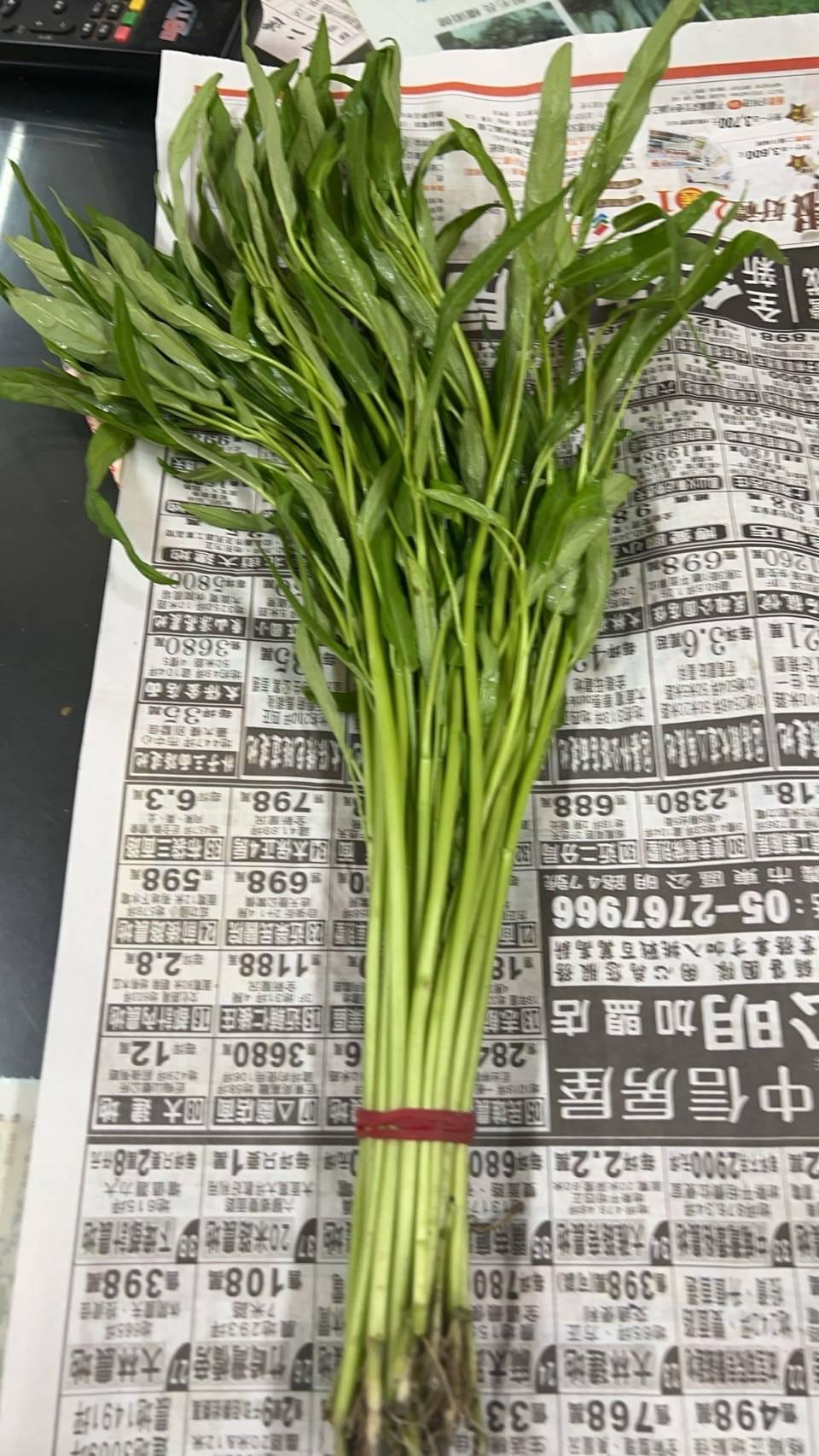 Kangkung Bambu V3 bundle