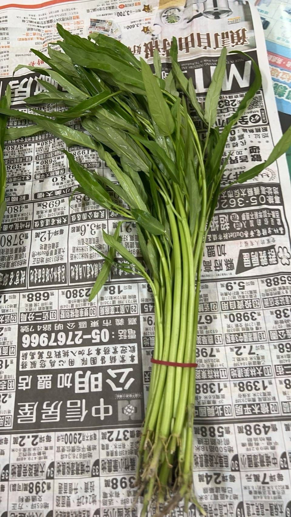 Kangkung Bambu V1 fresh bundle