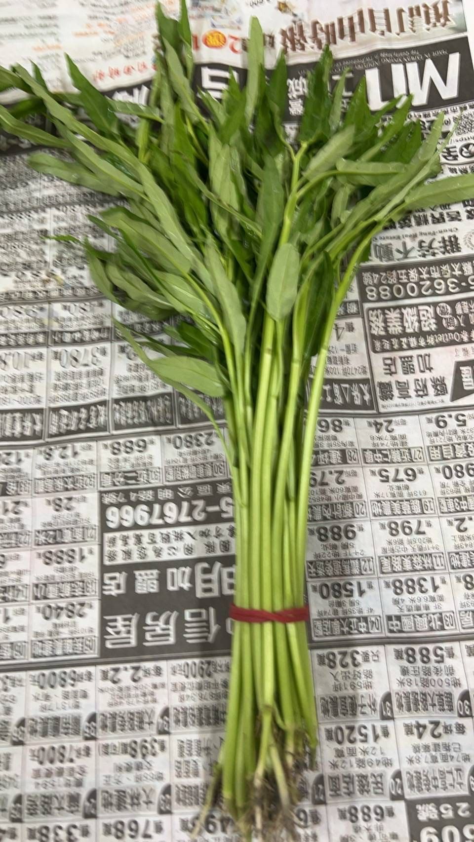 Kangkung Bambu V2 fresh bundle